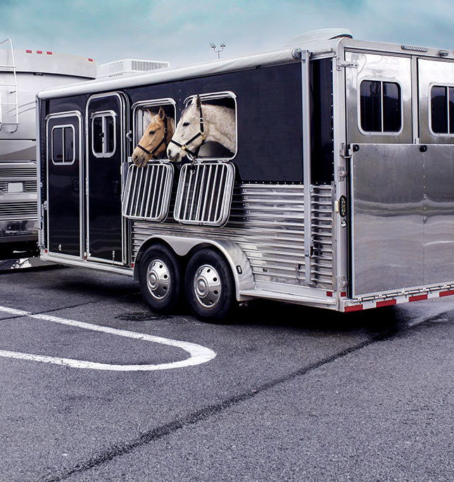 horse trailer