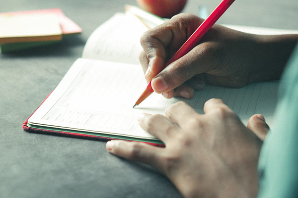 Two people looking at documents