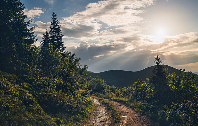 dirt trail in the mountains