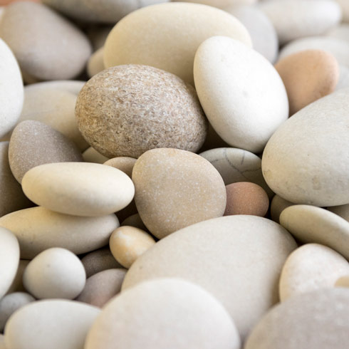 Cluster of white pebbles.