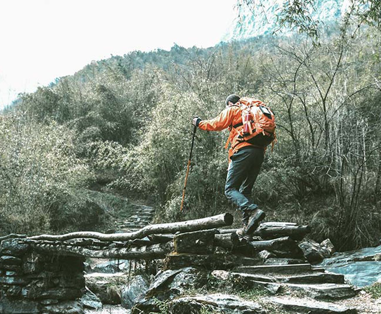 man hiking in the woods