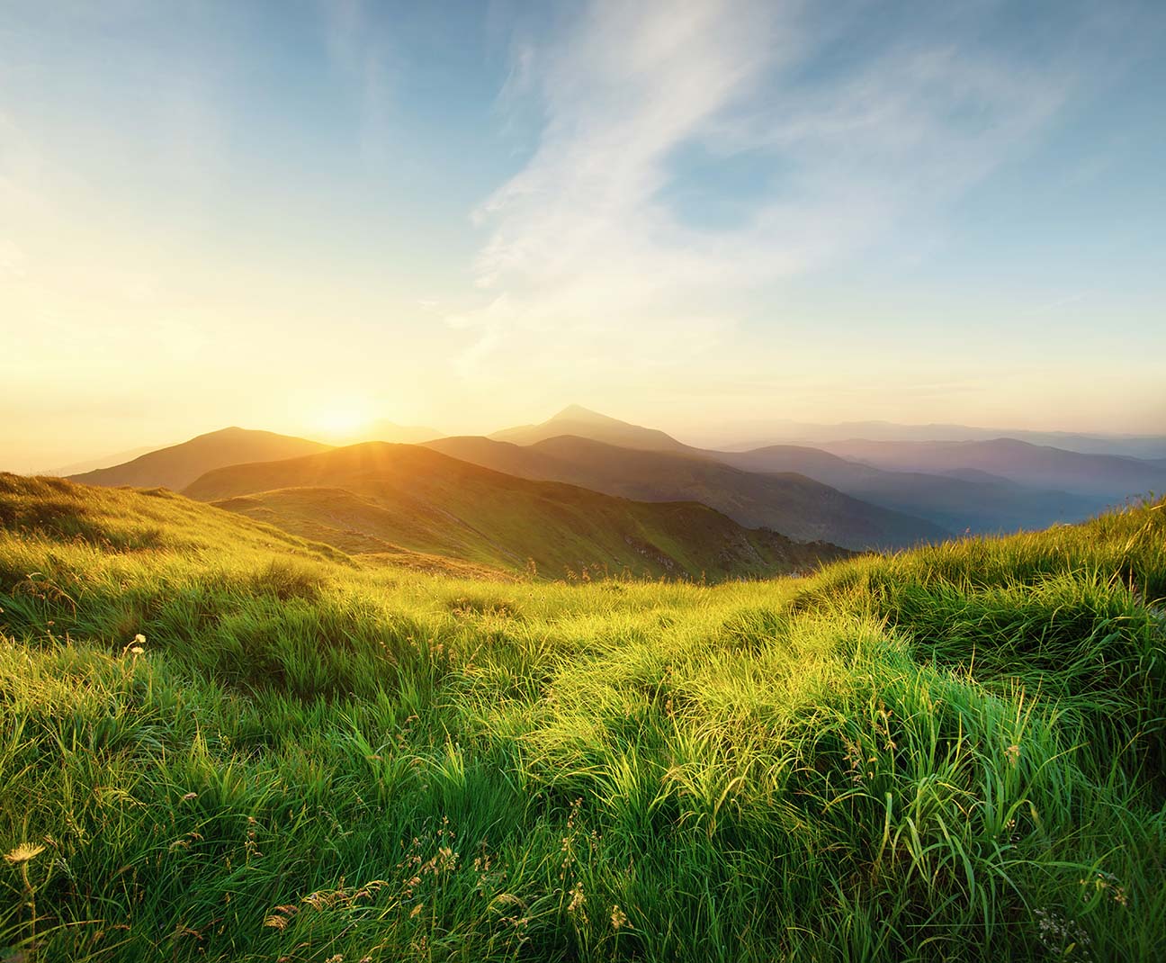 grassy field and mountain scenery