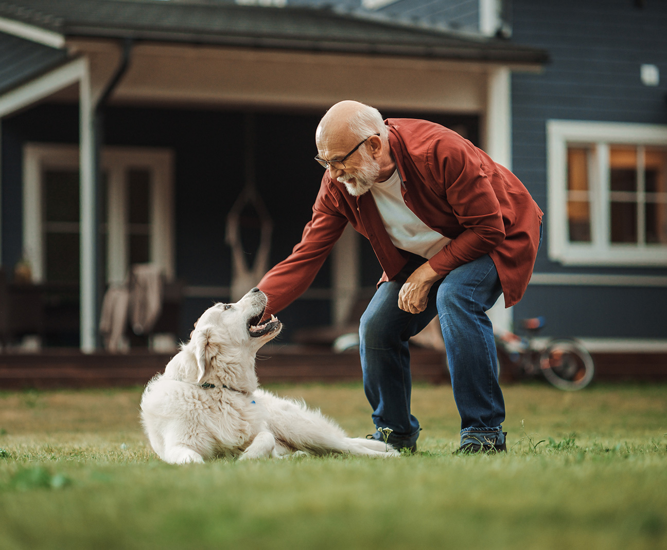 old man playing with his dog in the yard