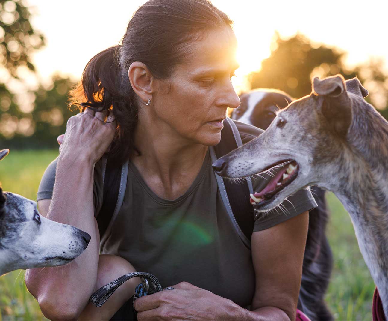 Woman walking dogs