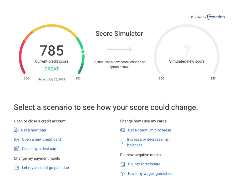 Credit score simulator