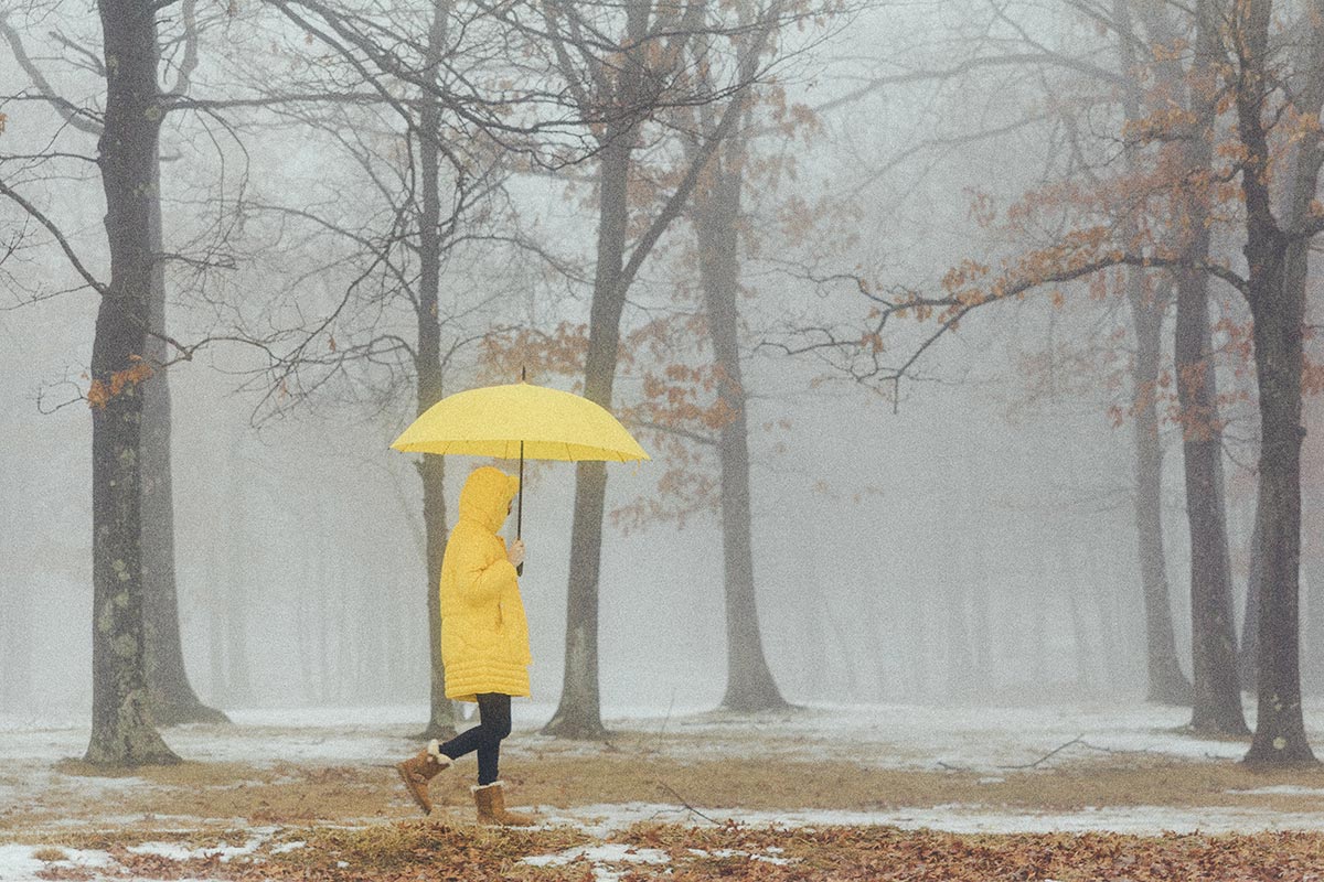 person walking through the woods with a yellow jacket and umbrella