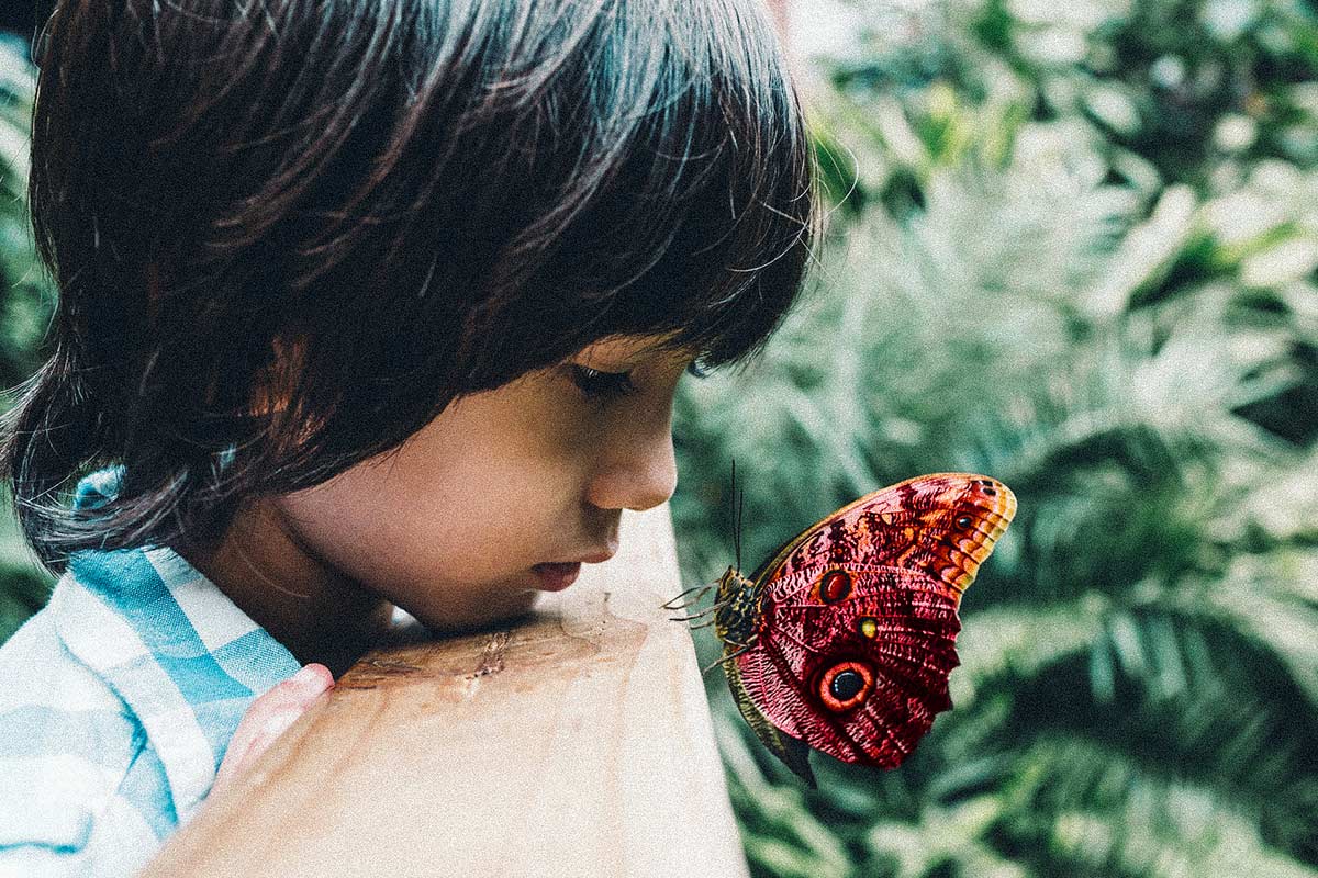 kid looking closely at a butterfly