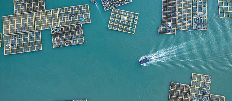 Boat navigating a crowded harbor