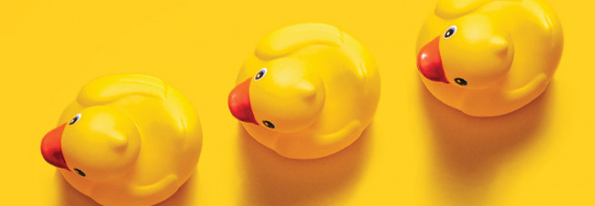 rubber duckies on yellow background